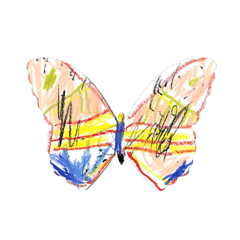 Original Butterfly Image