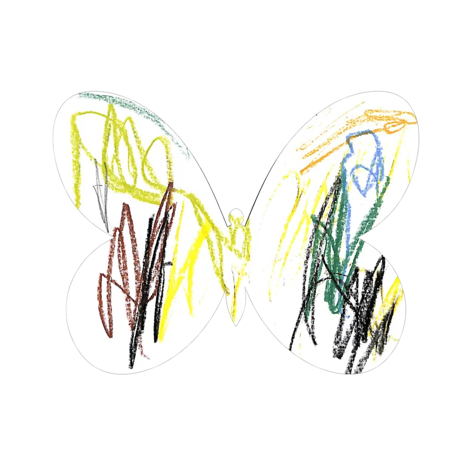 Original Butterfly Image