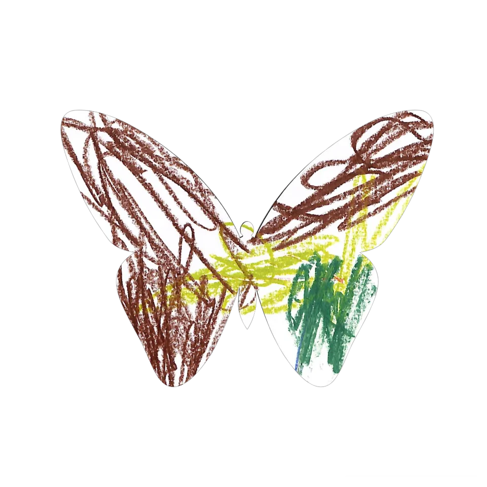 Original Butterfly Image