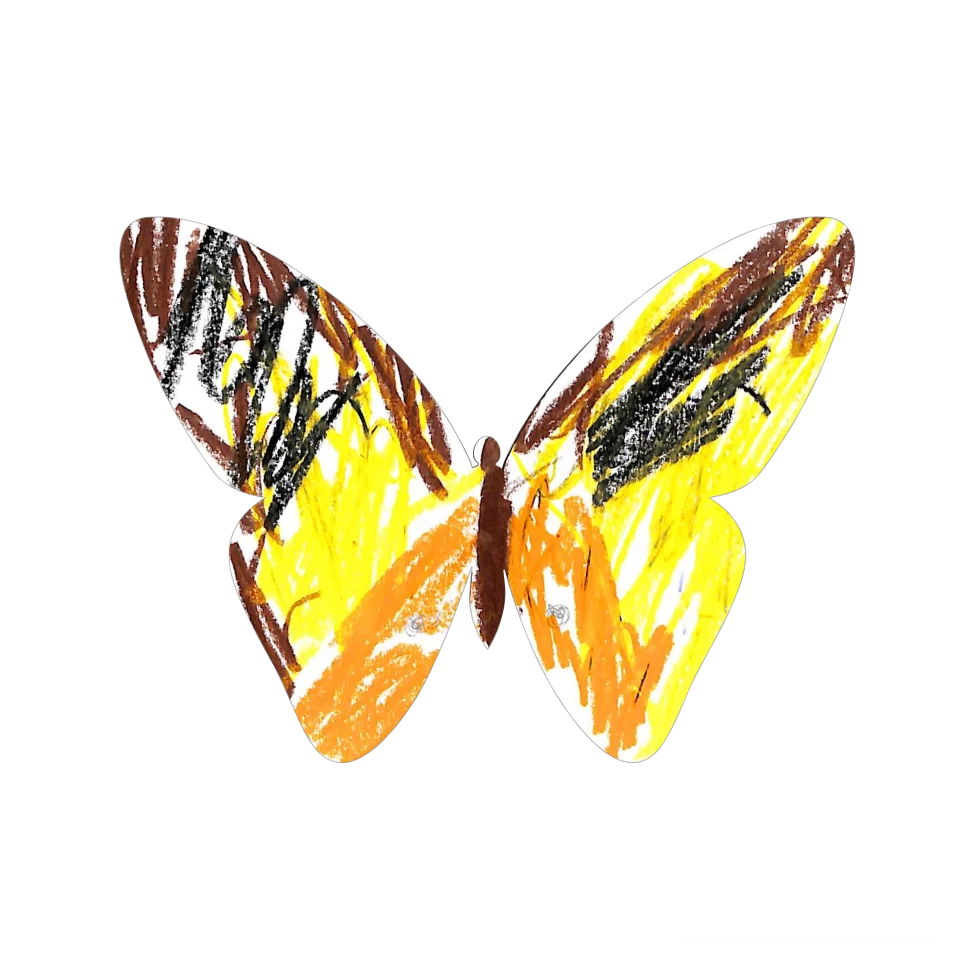 Original Butterfly Image