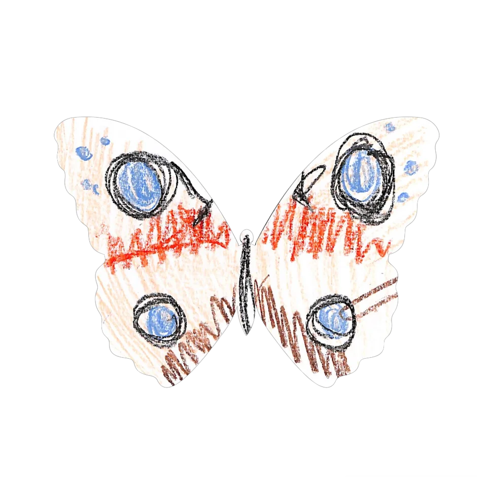 Original Butterfly Image