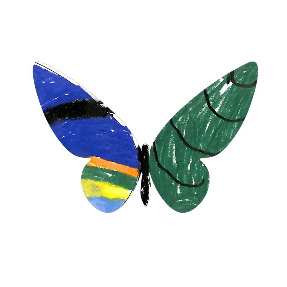 Original Butterfly Image