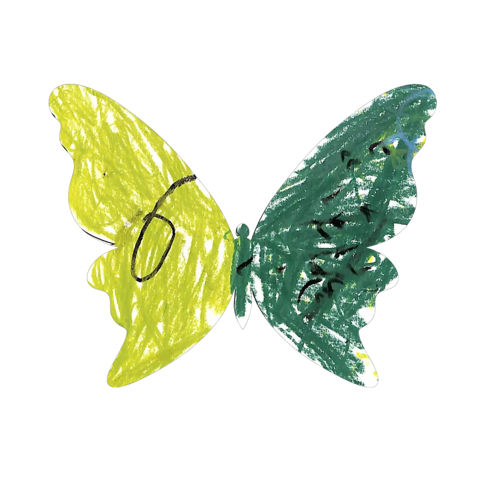 Original Butterfly Image
