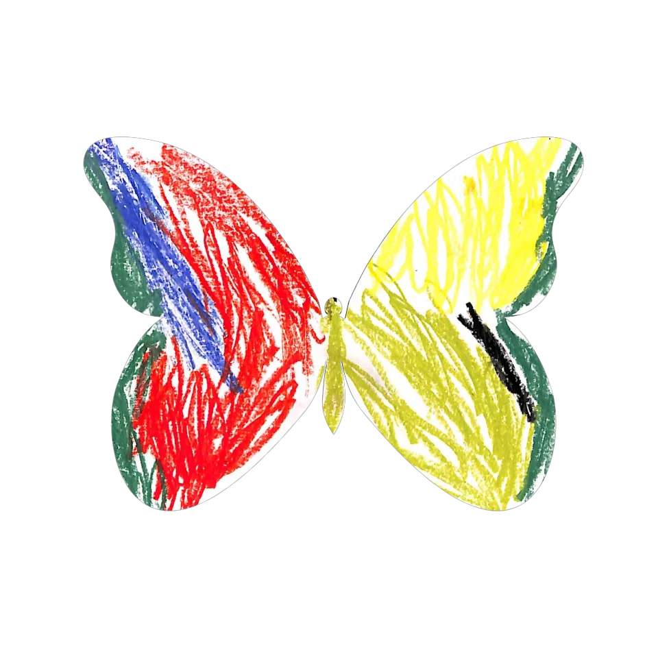 Original Butterfly Image