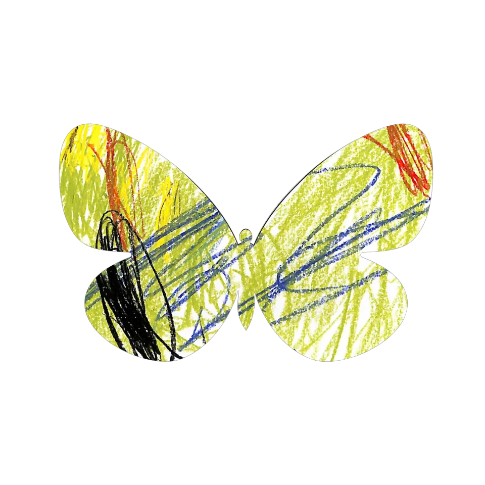 Original Butterfly Image