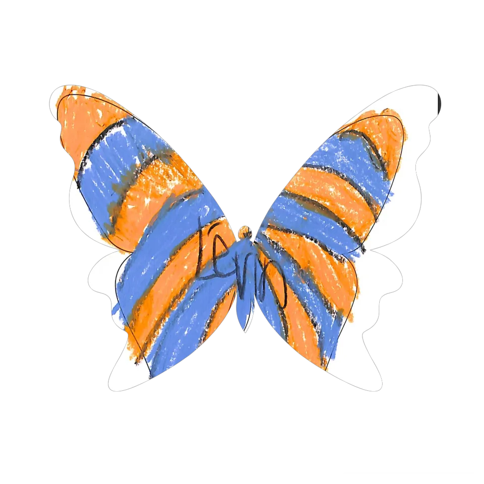 Original Butterfly Image