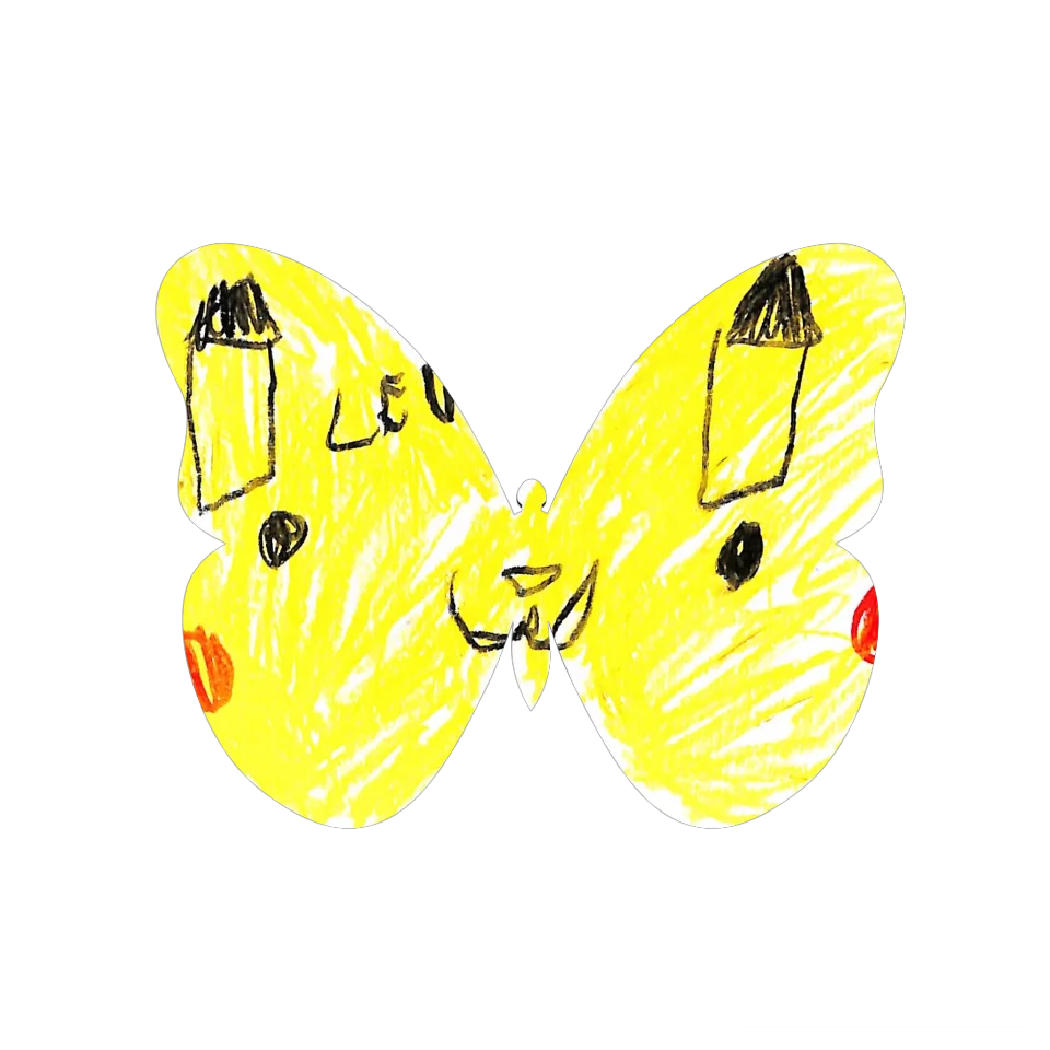 Original Butterfly Image