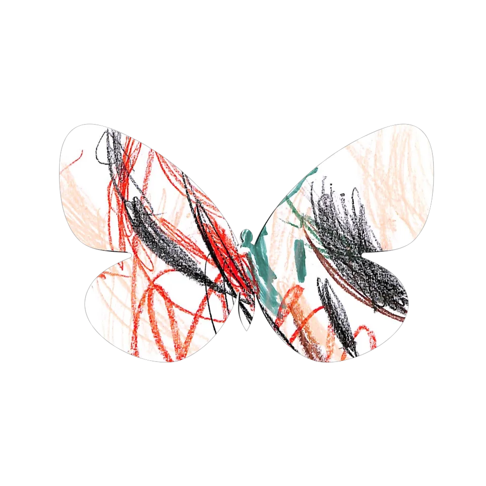 Original Butterfly Image