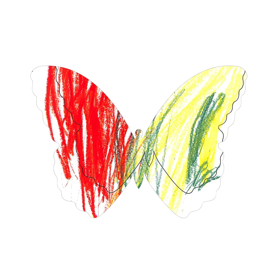 Original Butterfly Image