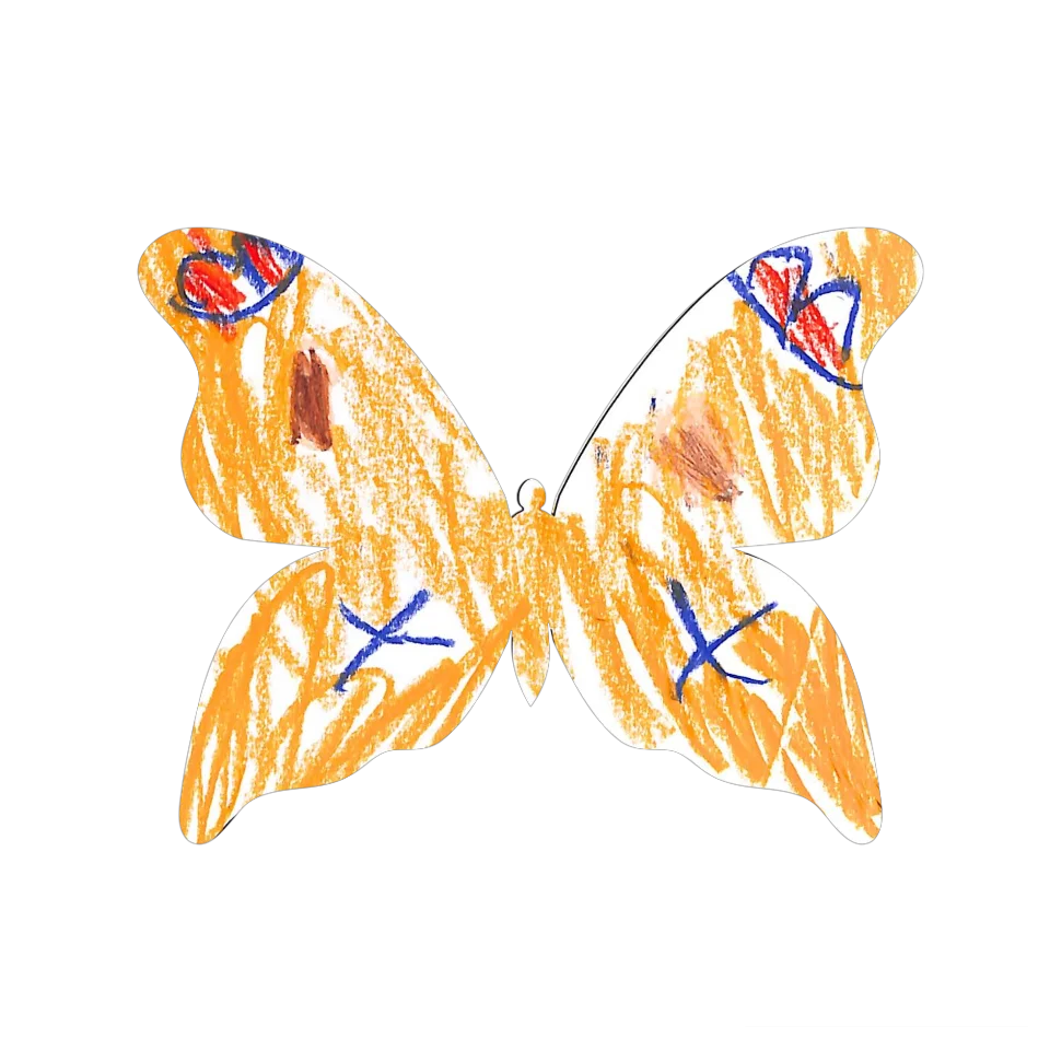 Original Butterfly Image