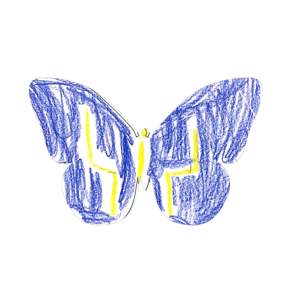 Original Butterfly Image
