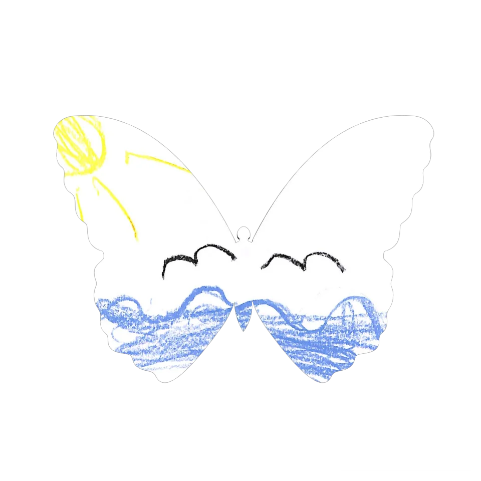Original Butterfly Image