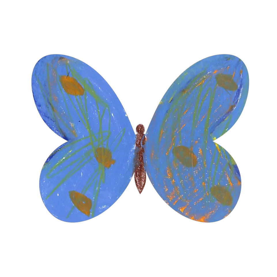 Original Butterfly Image