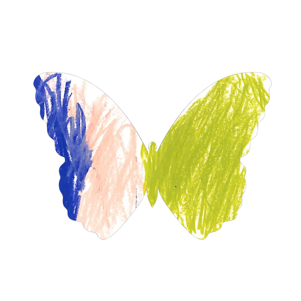 Original Butterfly Image