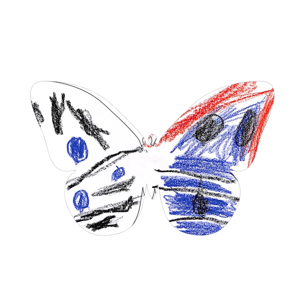 Original Butterfly Image