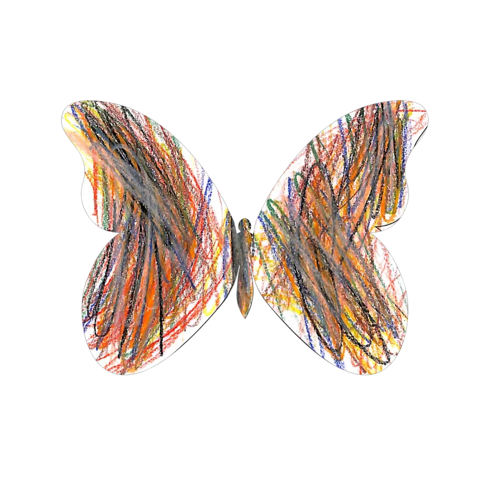 Original Butterfly Image