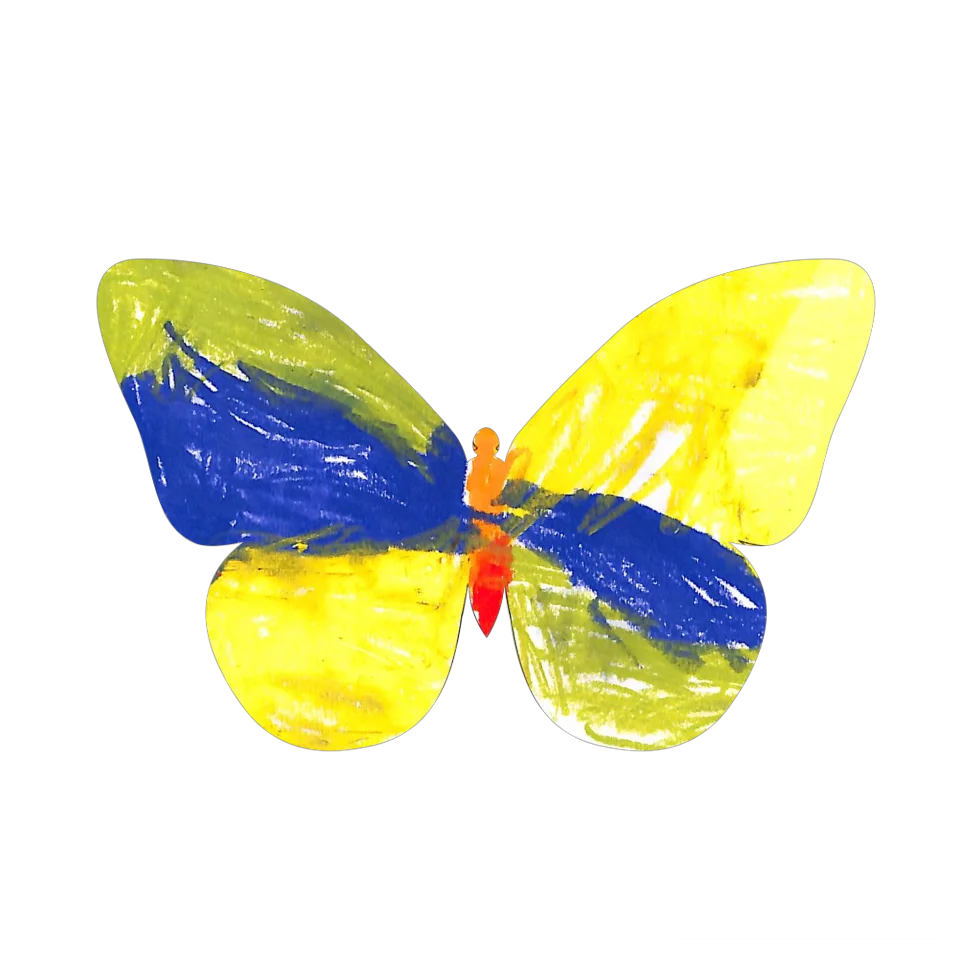 Original Butterfly Image