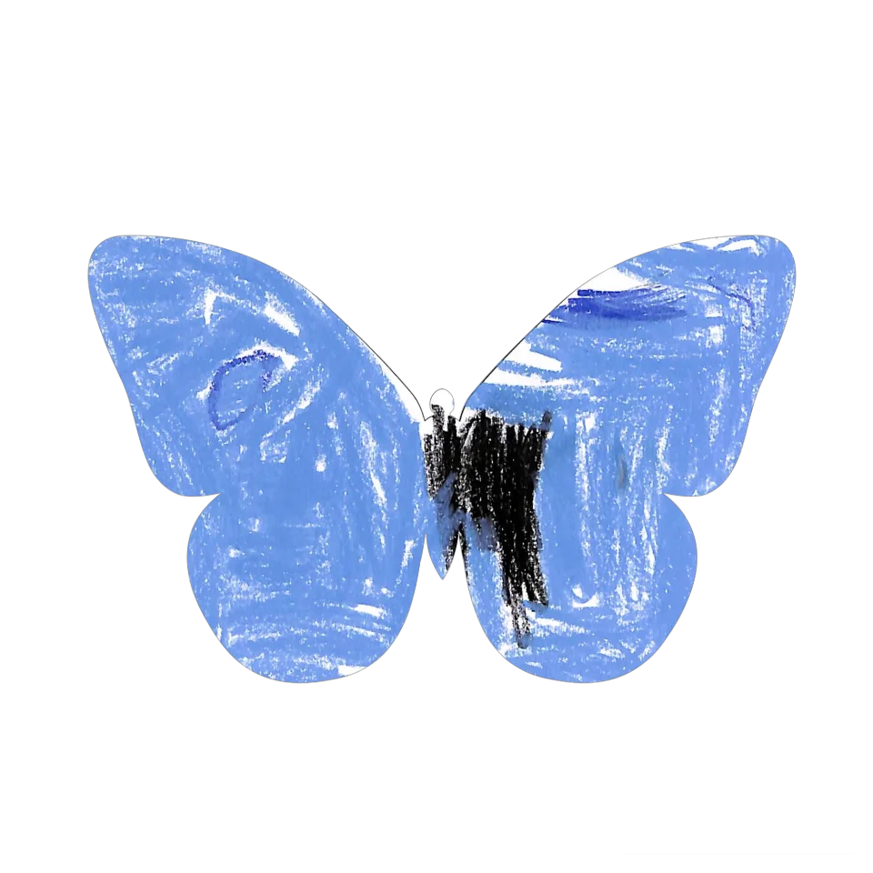 Original Butterfly Image