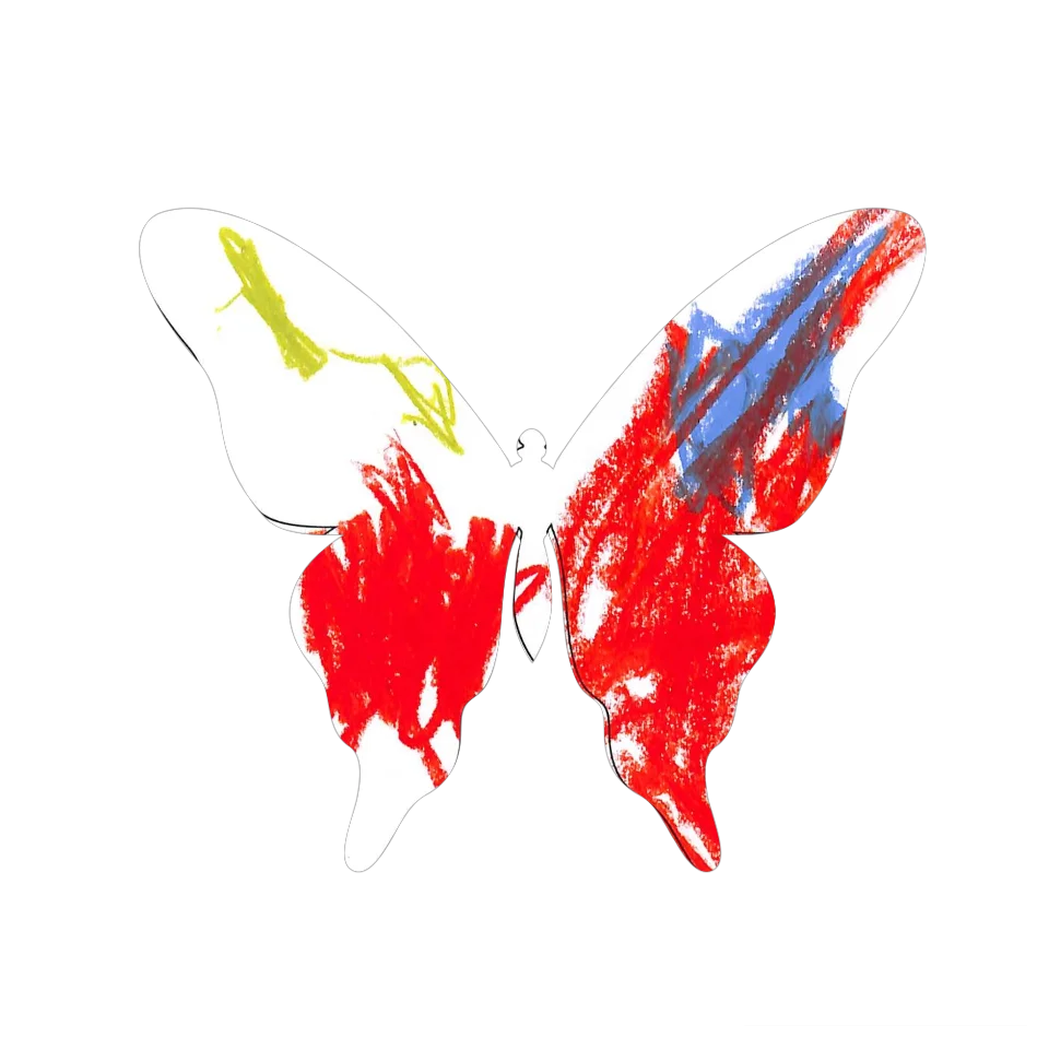Original Butterfly Image