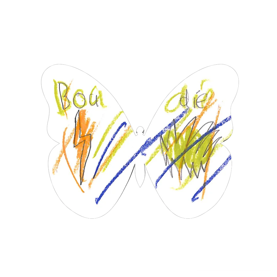 Original Butterfly Image