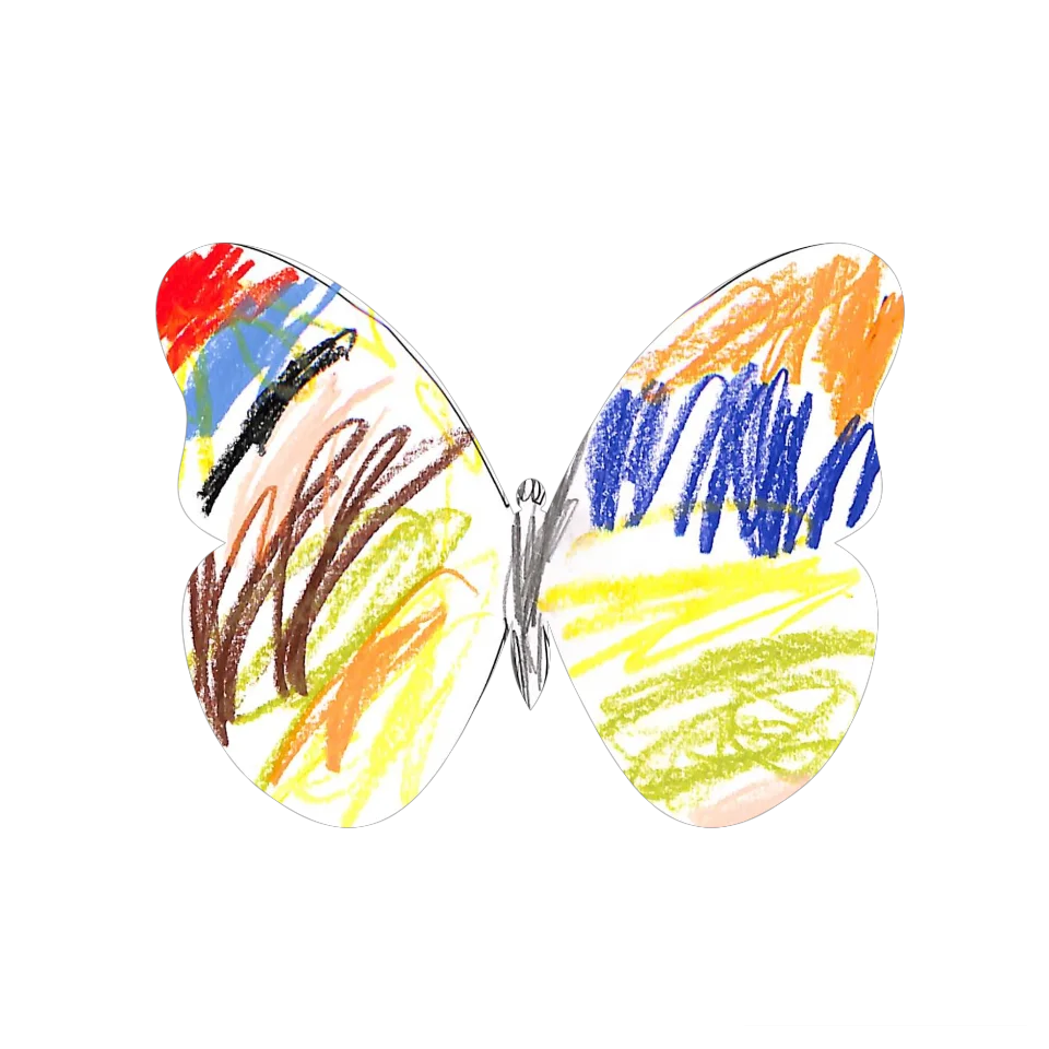 Original Butterfly Image