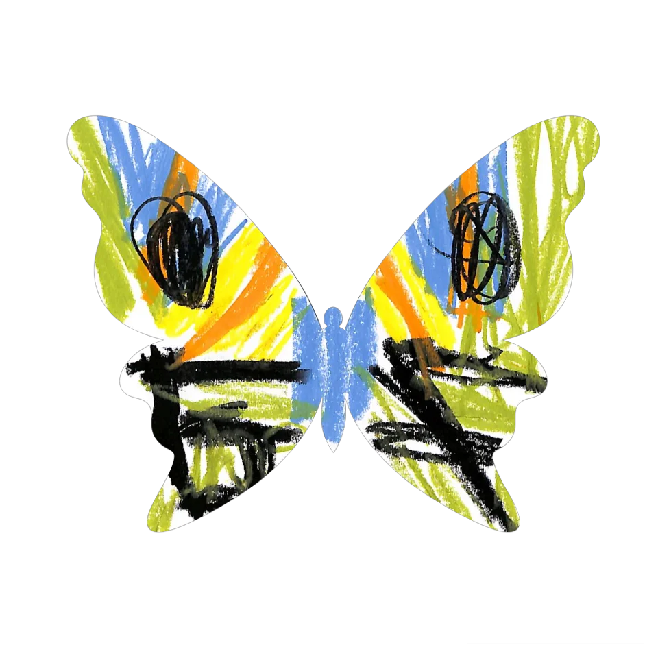Original Butterfly Image