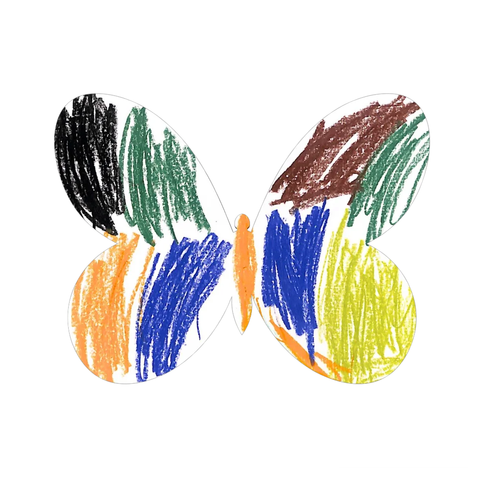 Original Butterfly Image