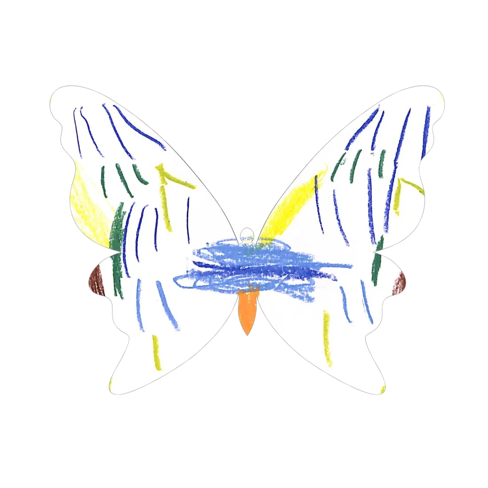 Original Butterfly Image