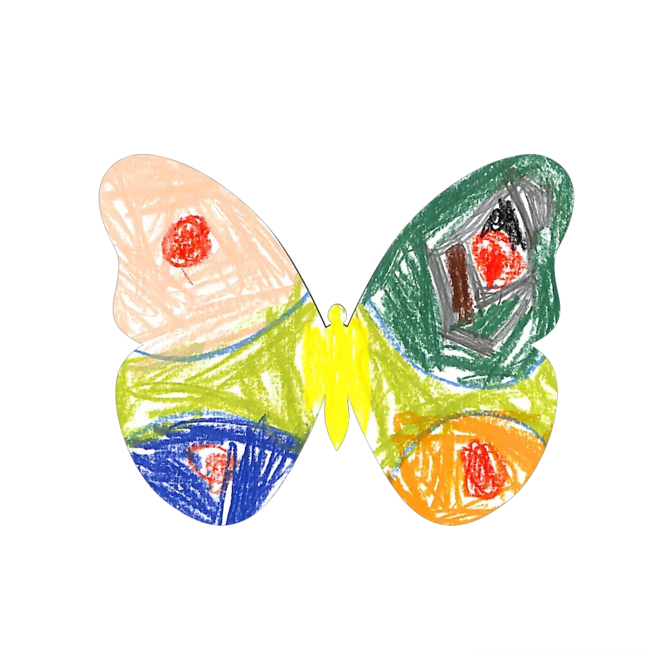 Original Butterfly Image