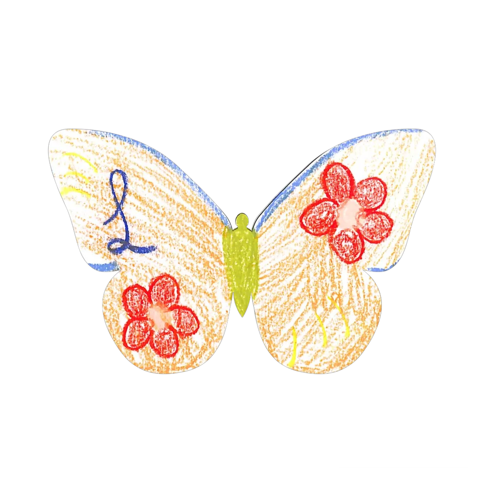 Original Butterfly Image