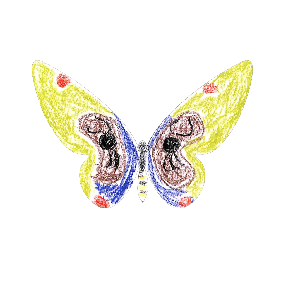 Original Butterfly Image