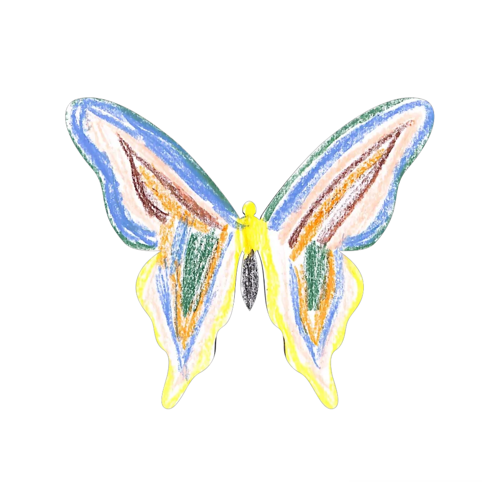 Original Butterfly Image