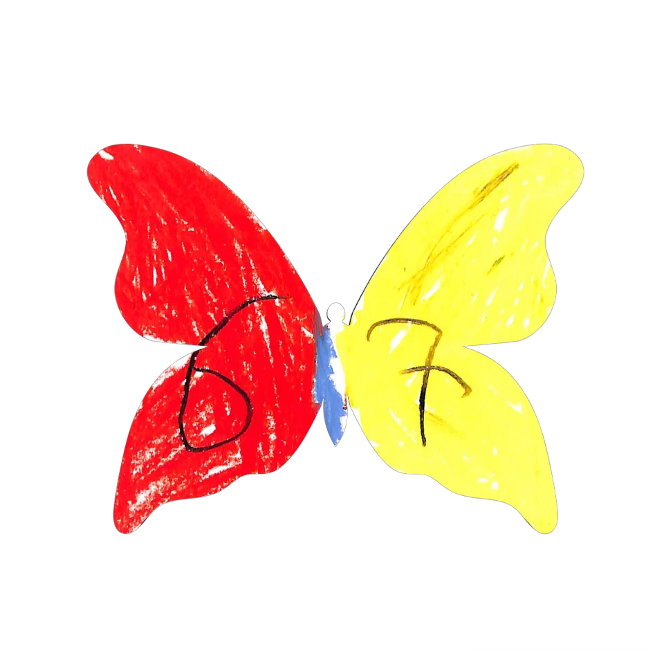 Original Butterfly Image