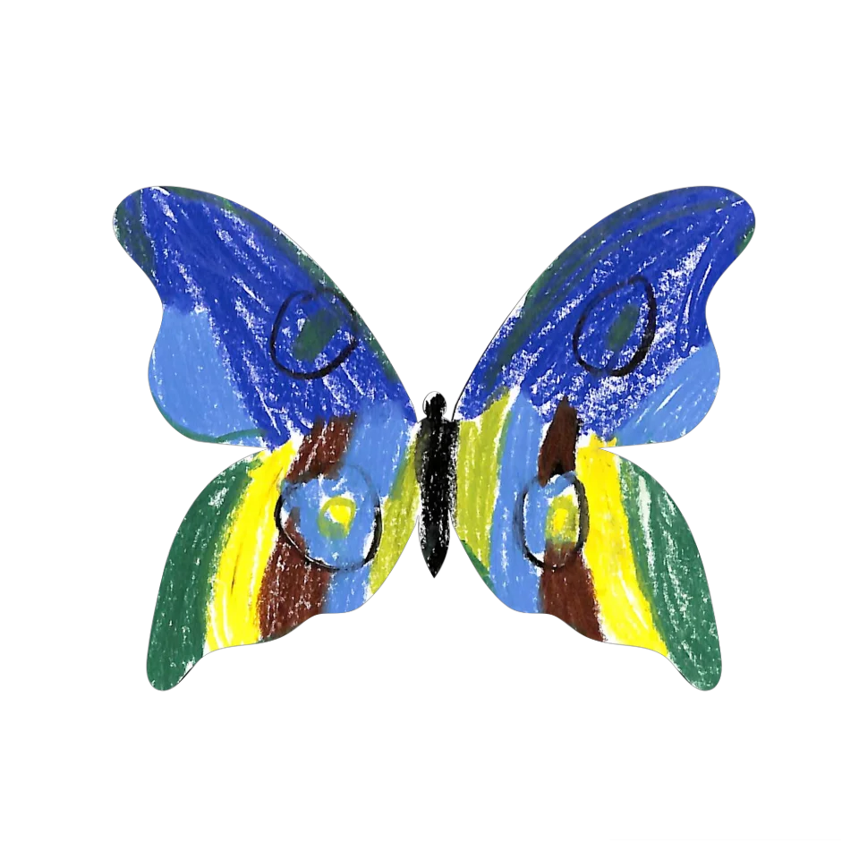 Original Butterfly Image