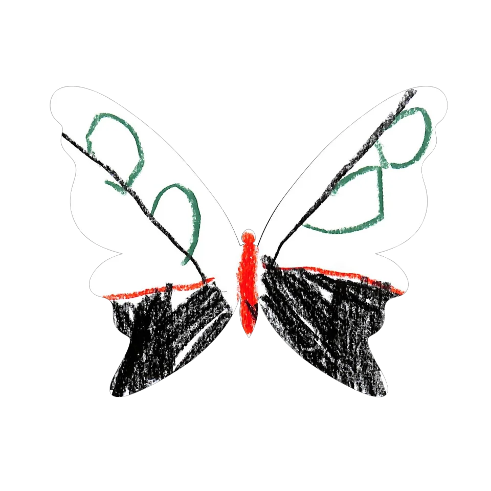 Original Butterfly Image