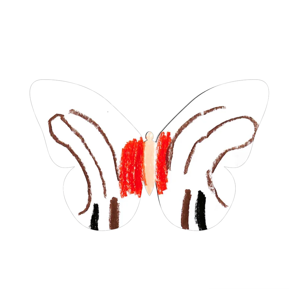 Original Butterfly Image