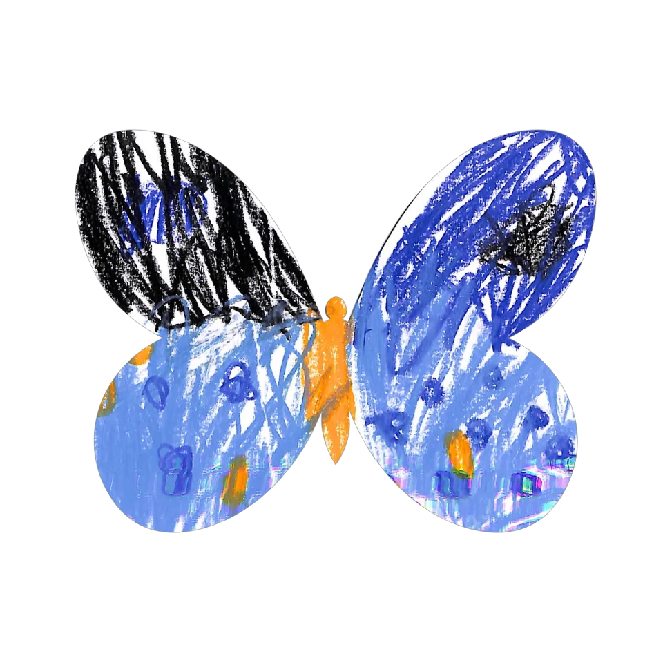 Original Butterfly Image