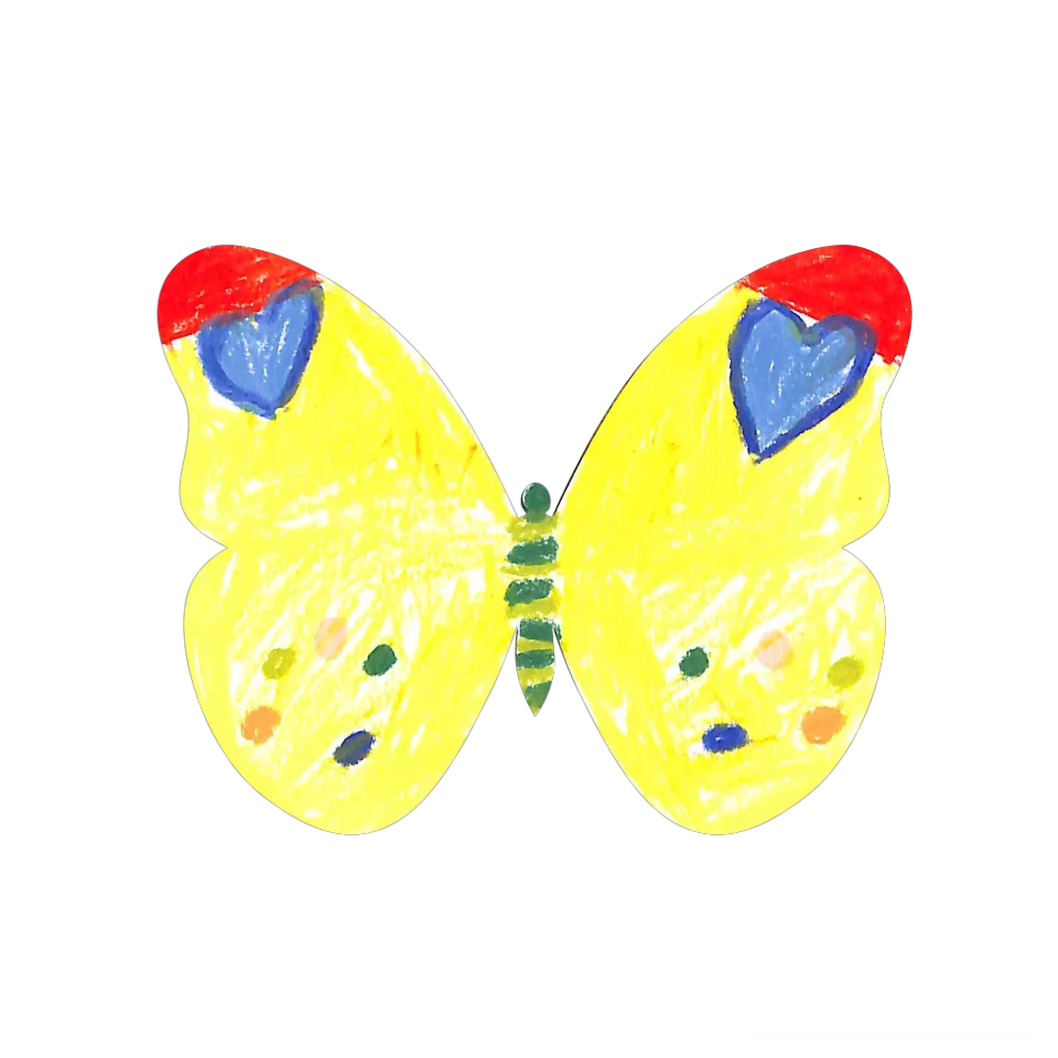 Original Butterfly Image