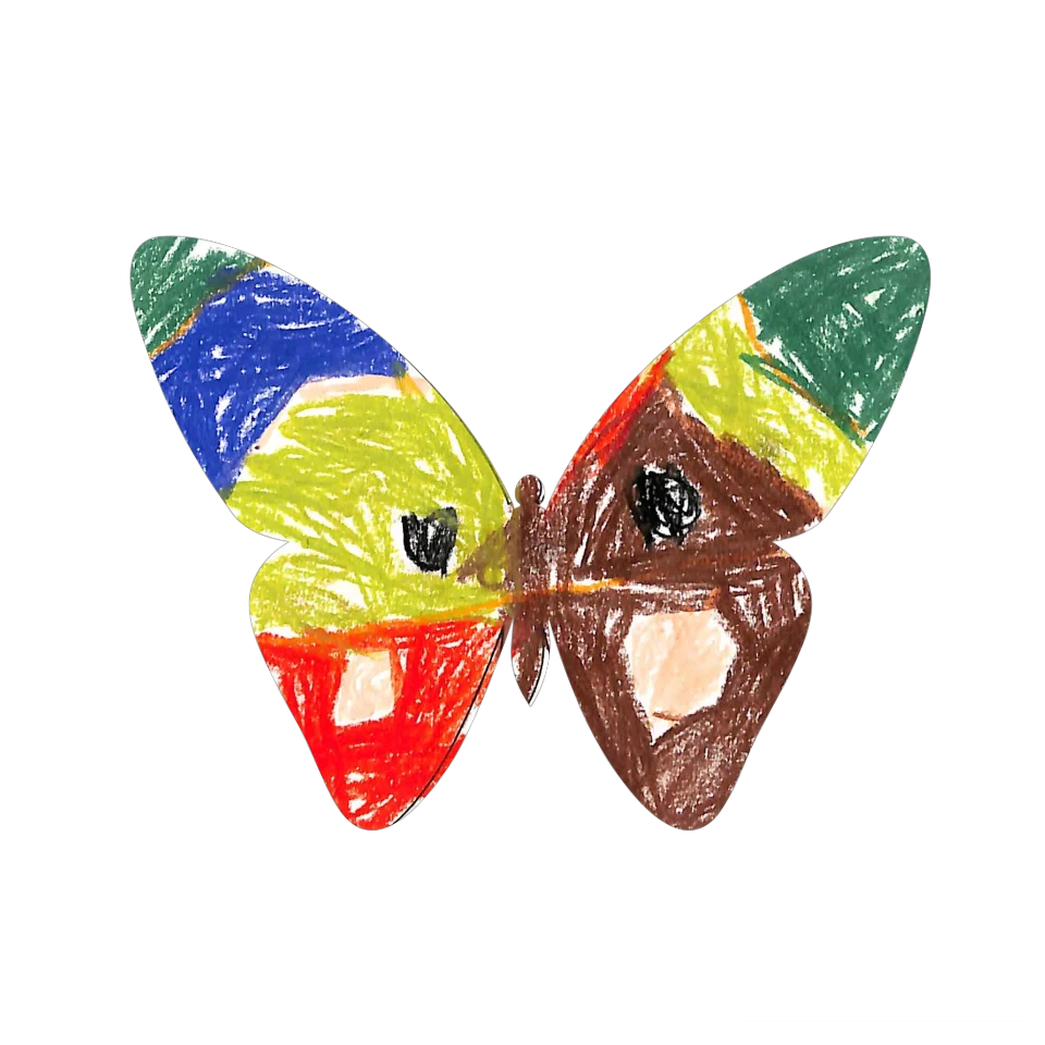 Original Butterfly Image