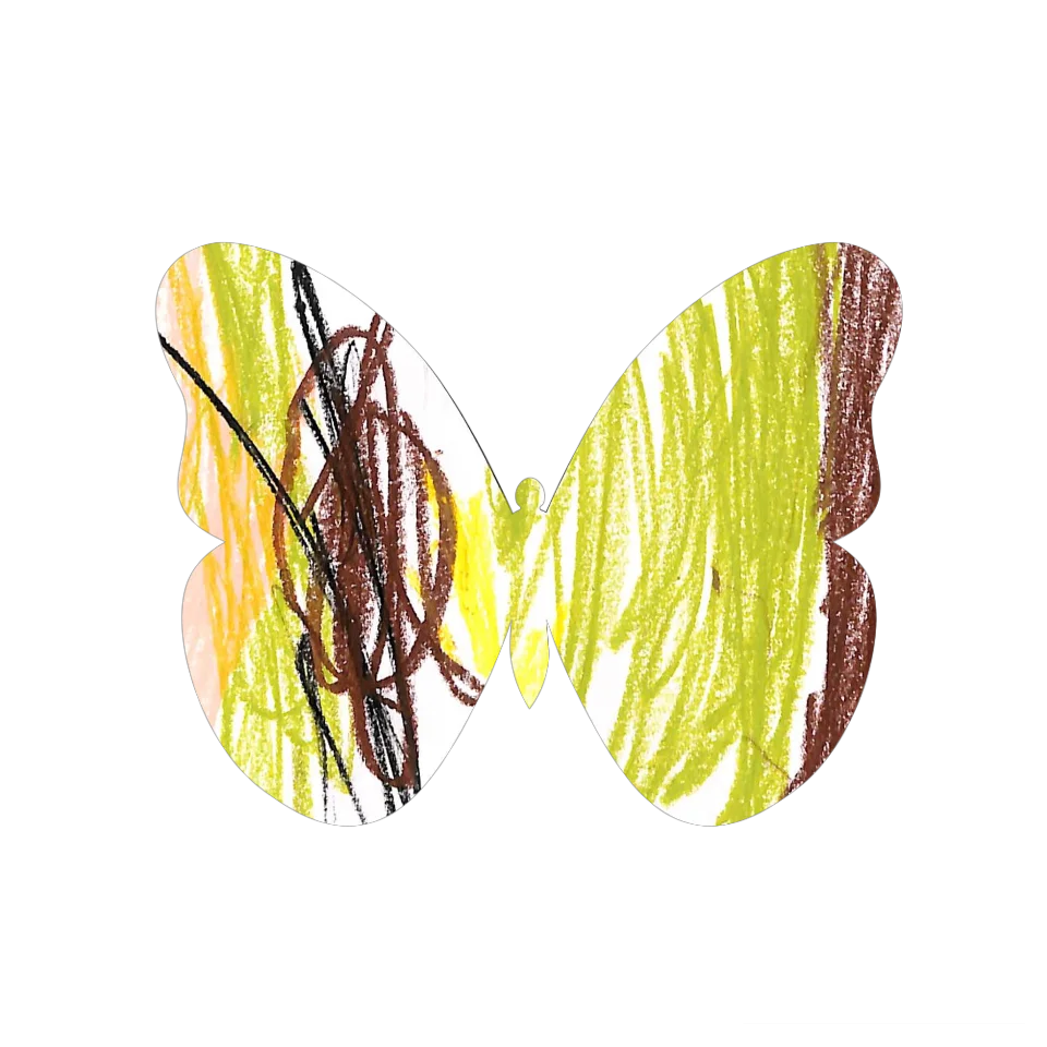 Original Butterfly Image