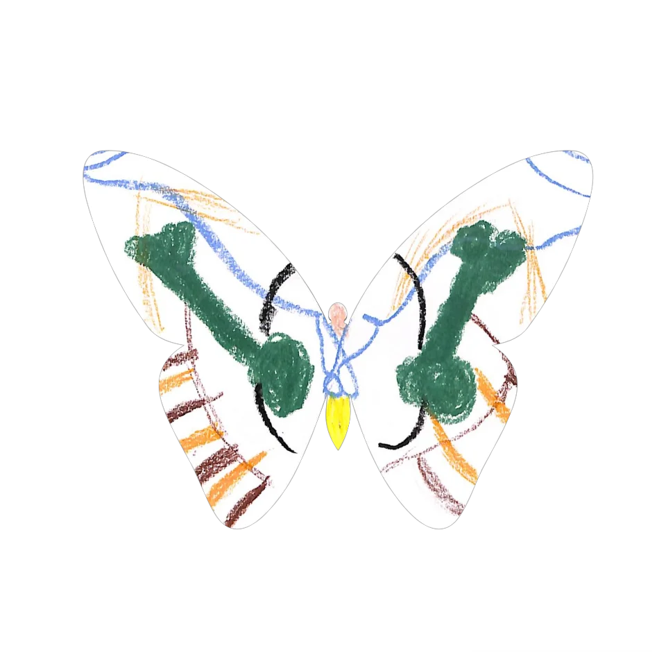 Original Butterfly Image