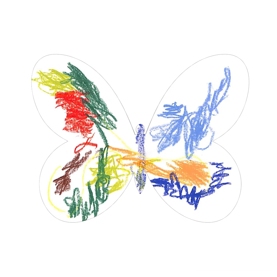 Original Butterfly Image
