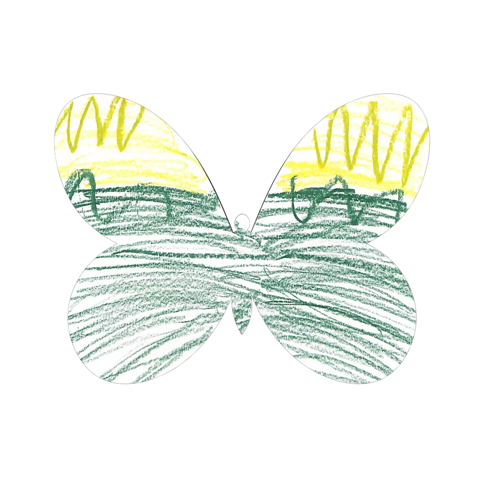 Original Butterfly Image