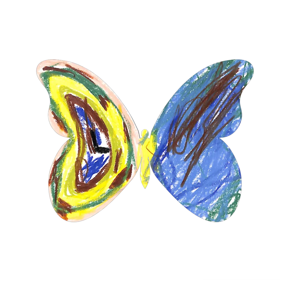 Original Butterfly Image