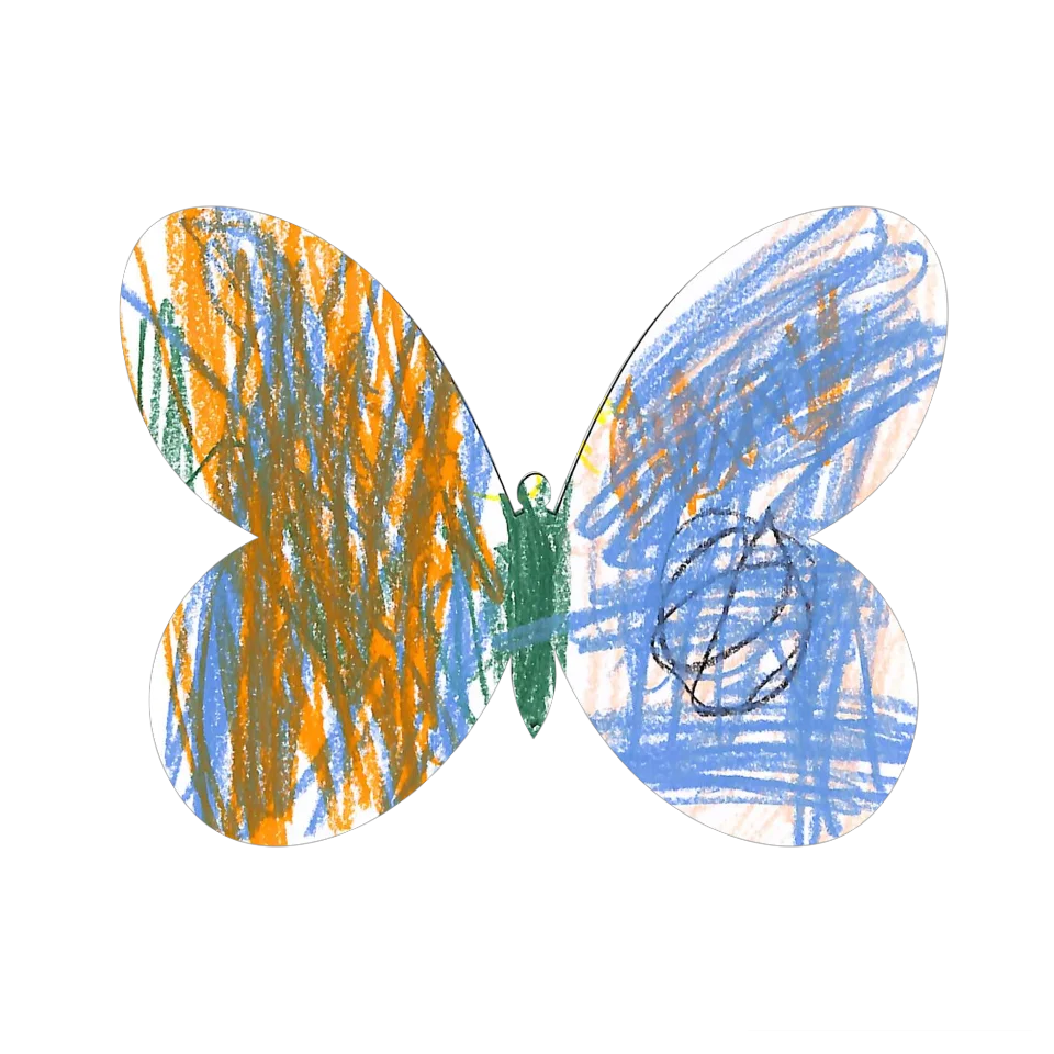 Original Butterfly Image