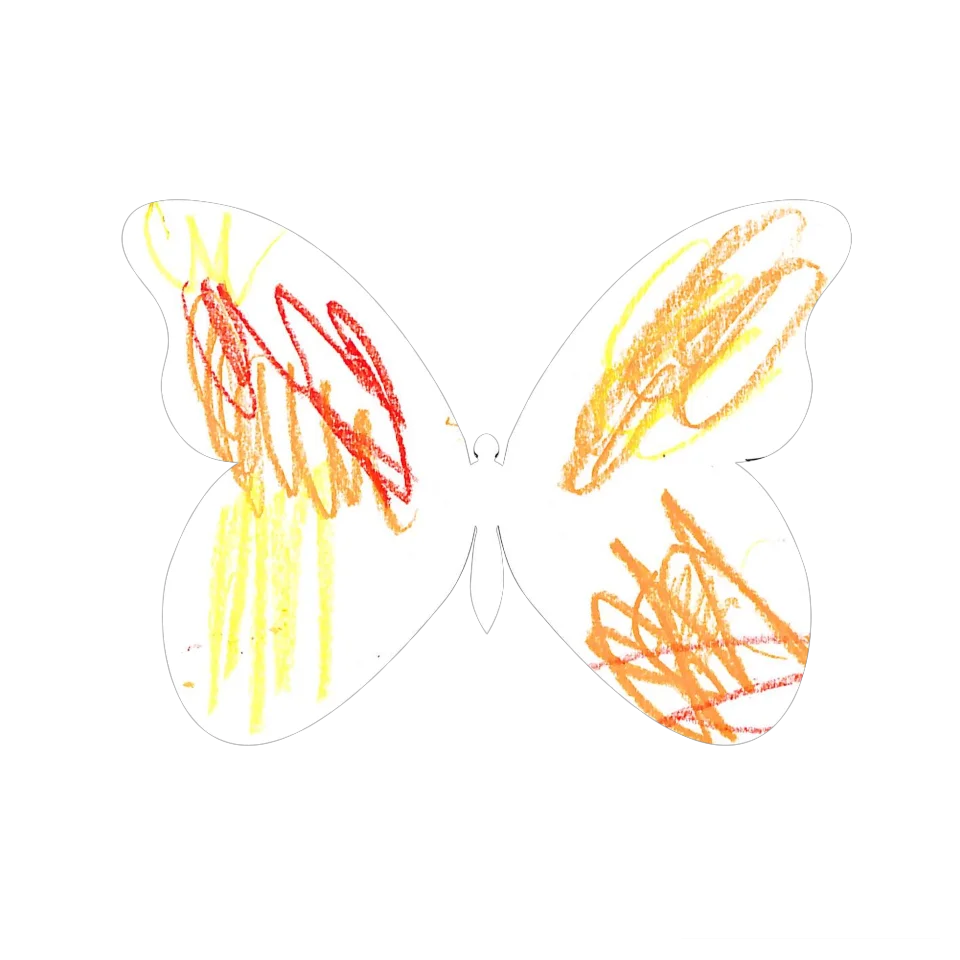 Original Butterfly Image