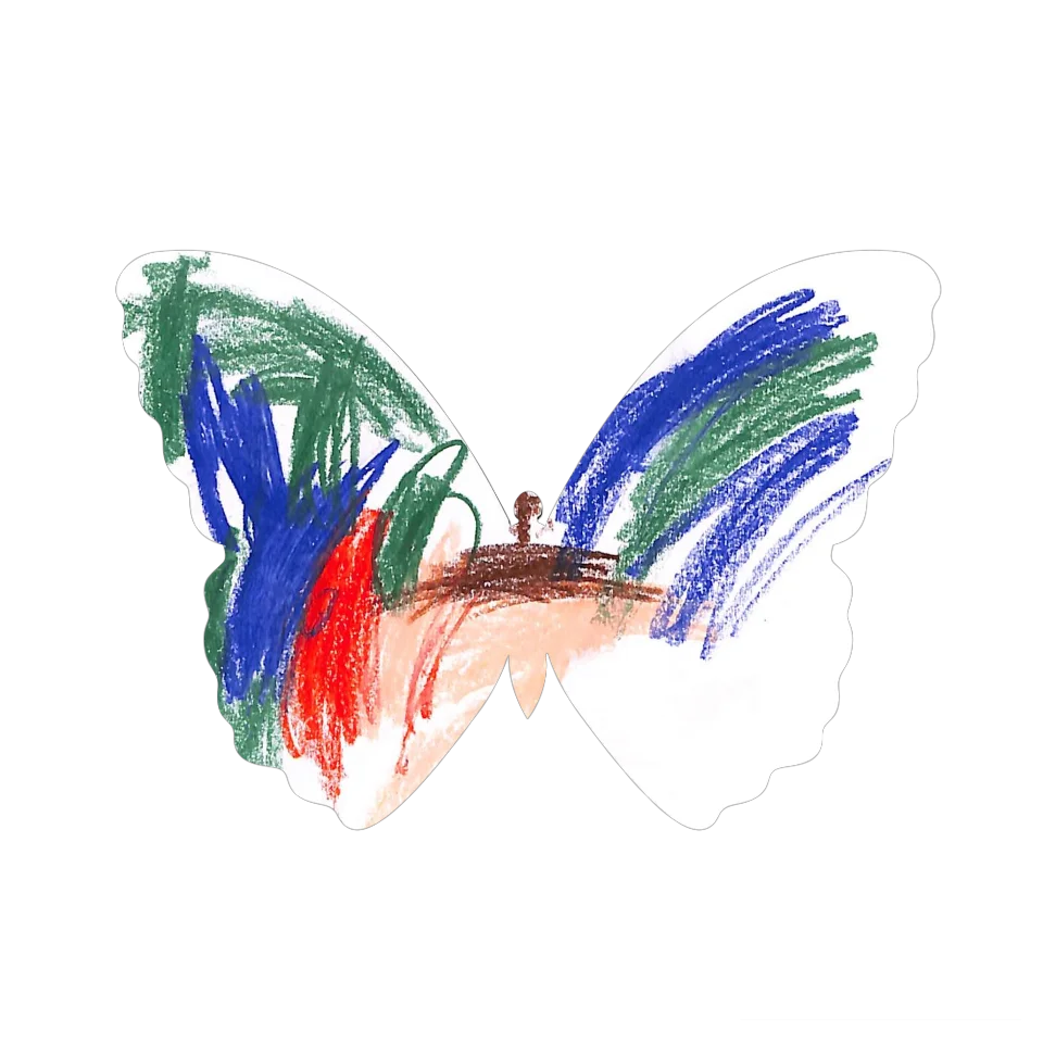 Original Butterfly Image