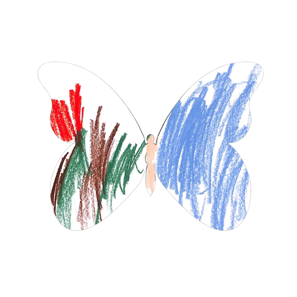 Original Butterfly Image