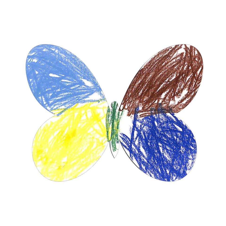 Original Butterfly Image