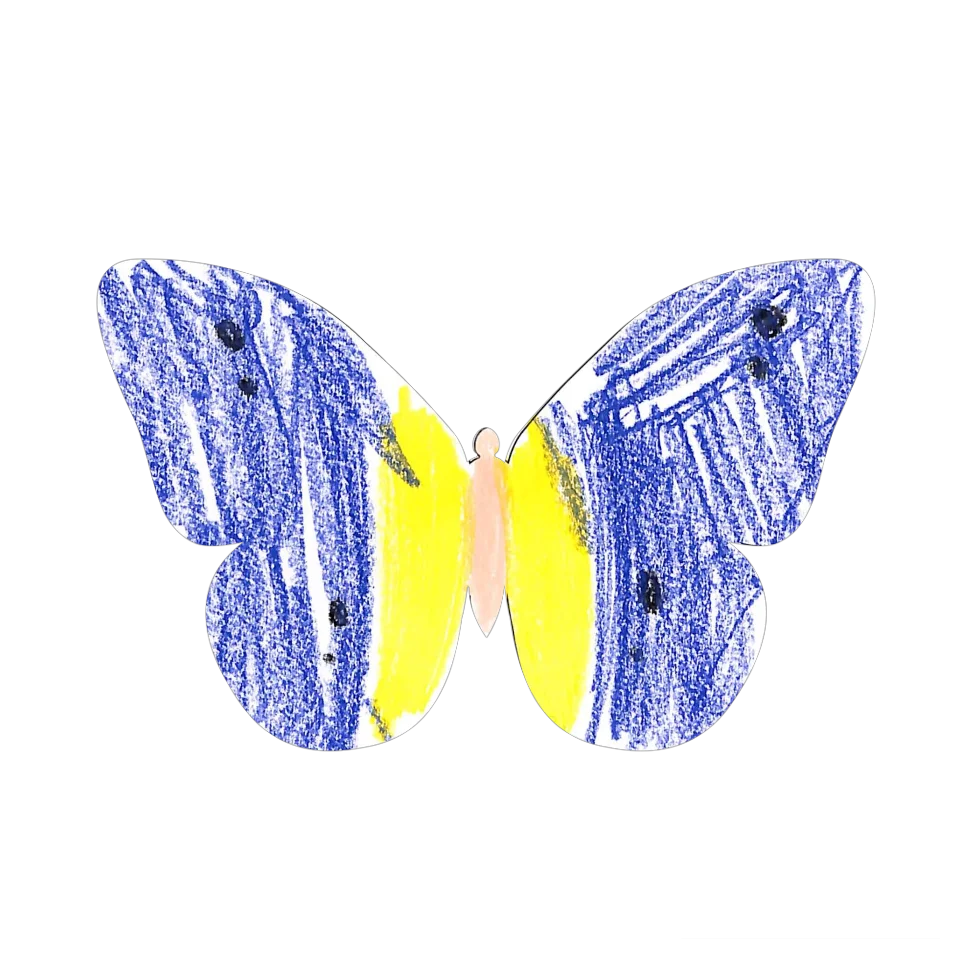 Original Butterfly Image